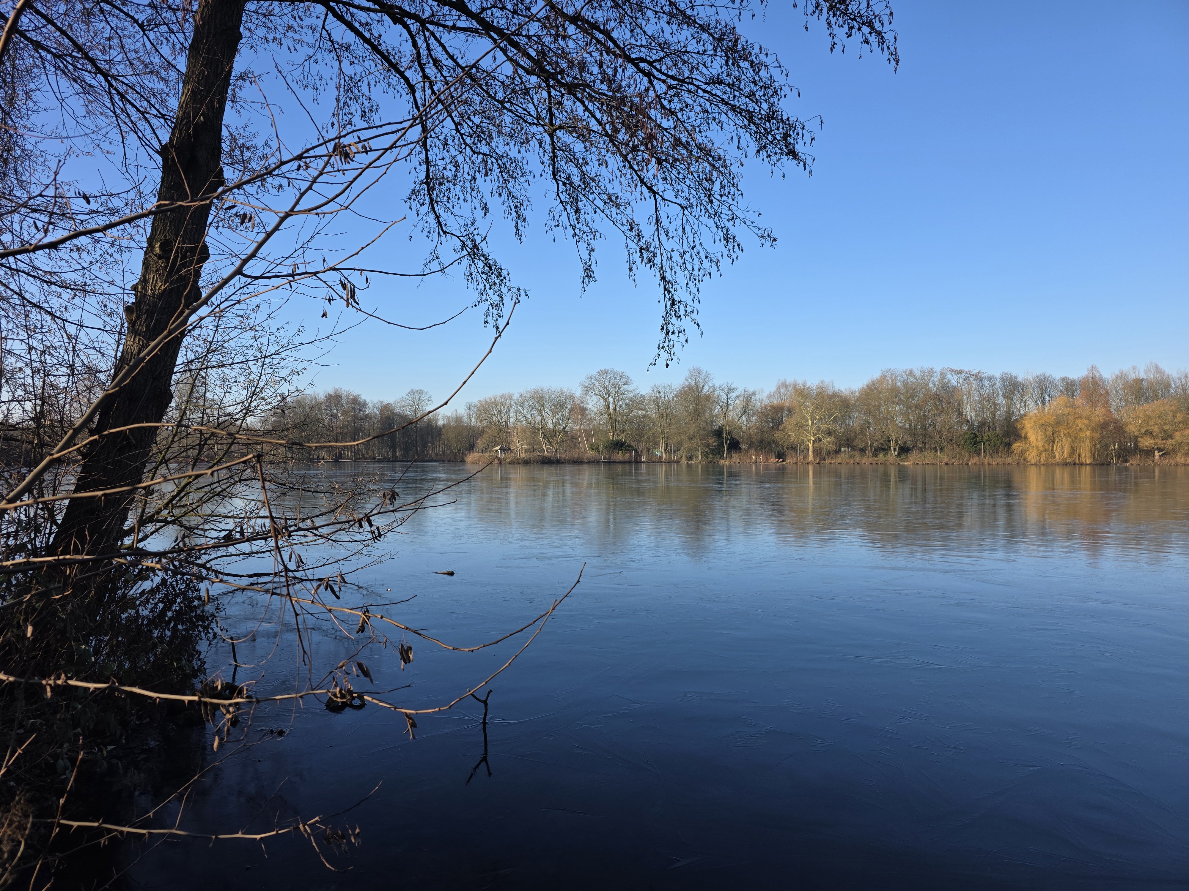 Impression vom Nordparkteich